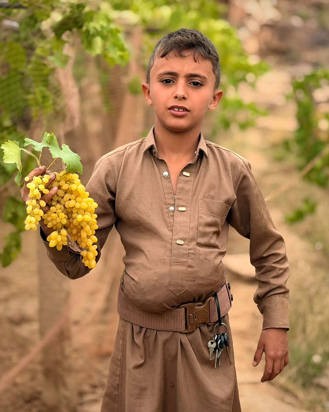 Yemeni farmer in traditional attire inspecting a cluster of grapes in a high-altitude vineyard