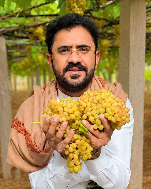 Volcanic-soil vineyards and terraces in the valleys of Dhamar, central Yemen