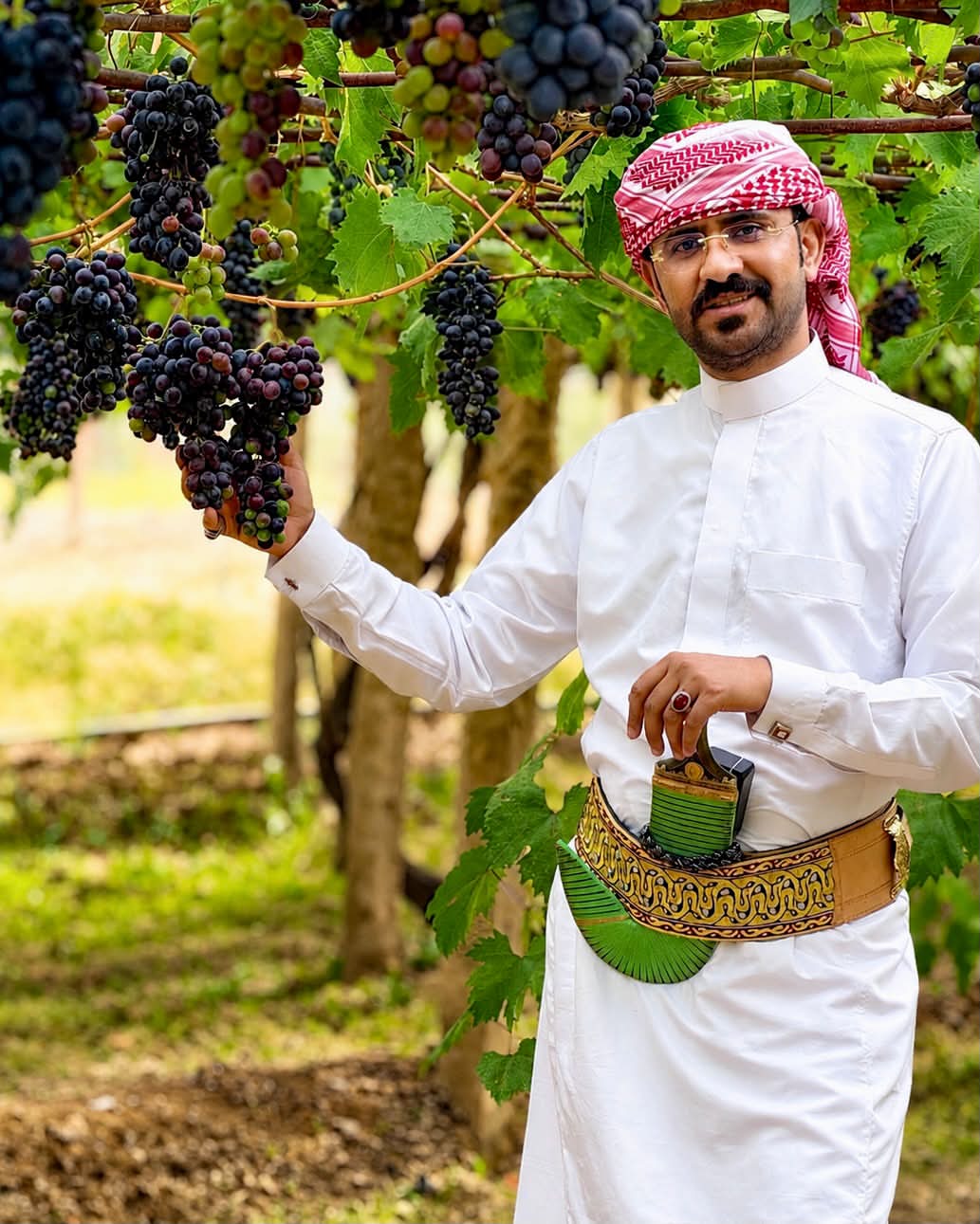 High-altitude Razqi vineyards on stone terraces in Khawlan and Bani Hashish, Sana'a highlands