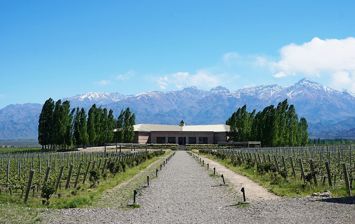 Asl Al-Anab heritage winery house